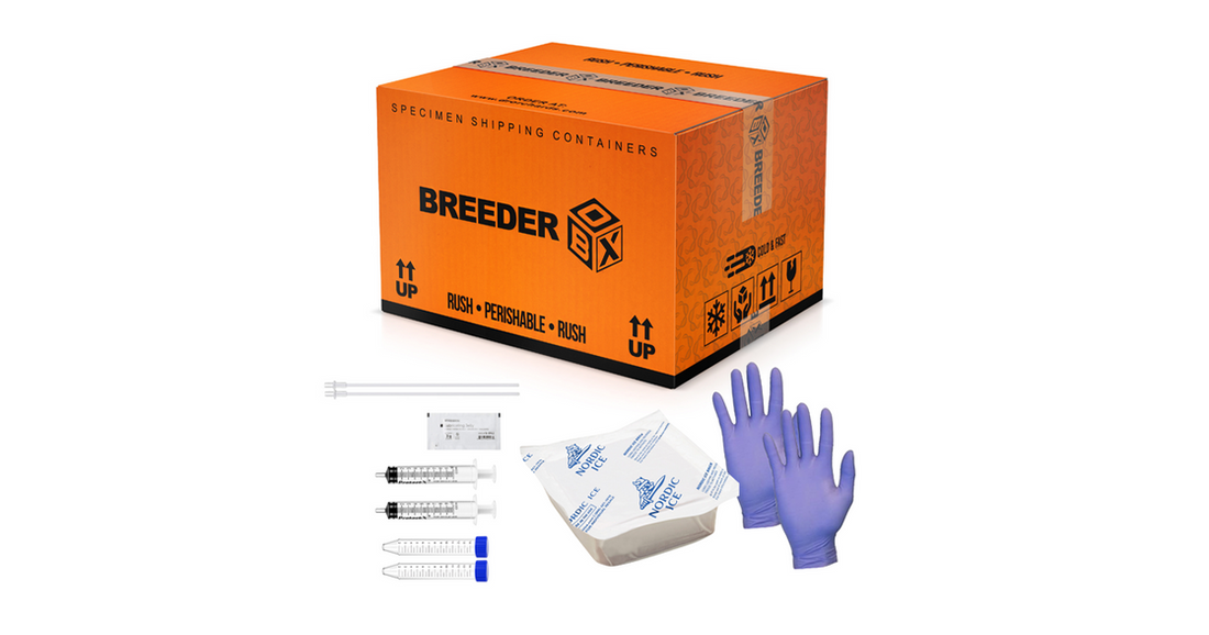 The Ultimate Dog Semen Shipping Kit for Breeders: Breeder Box