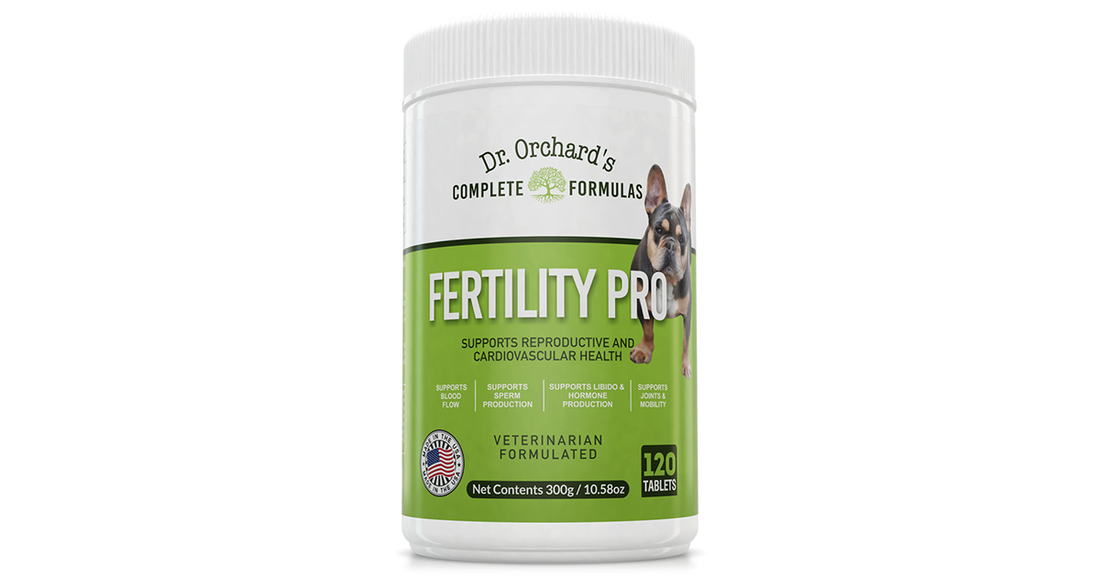 Boost Your Dog’s Reproductive Health with Dr. Orchard's Fertility Pro