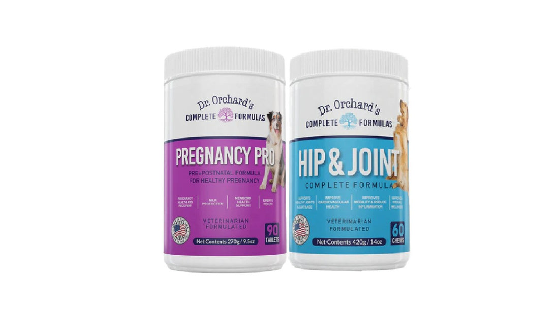 Boost Your Stud Dog’s Vitality with Dr. Orchard’s Fertility Supplements