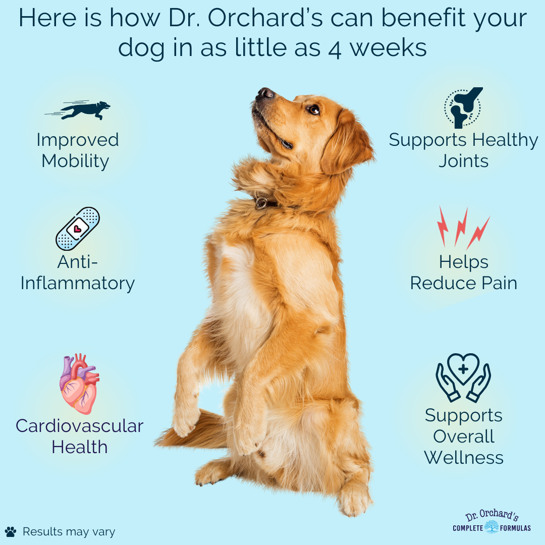 Dr. Orchards Advanced Hip & Joint Chews - Duck Flavor- (60ct)